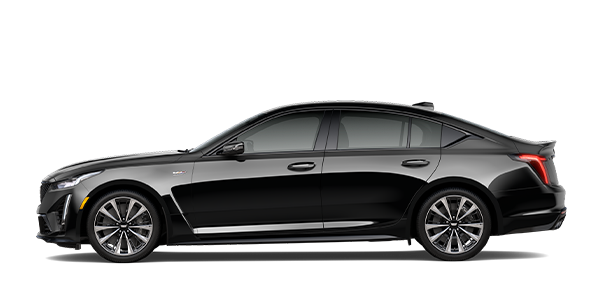 Luxury Sedans - Regal Transportation Group