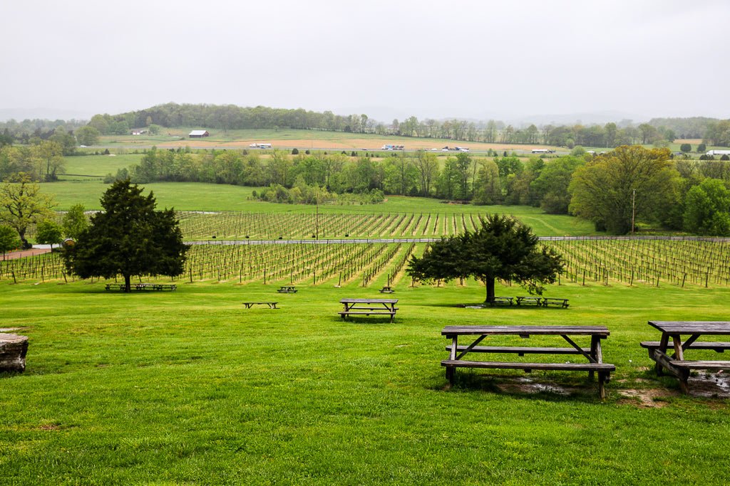 Arrington Vineyards: A Day Trip Worth Taking - Regal Transportation Group