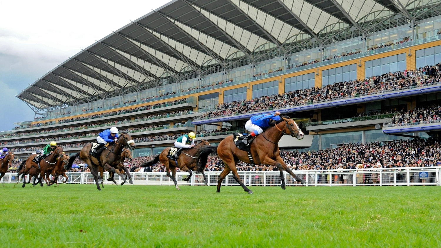 Black Cars & Horse Racing - Regal Transportation Group