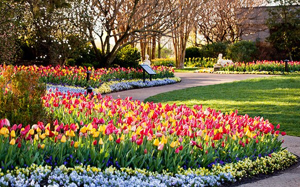 Spring Forward: Exciting Nashville Events This Spring - Regal Transportation Group