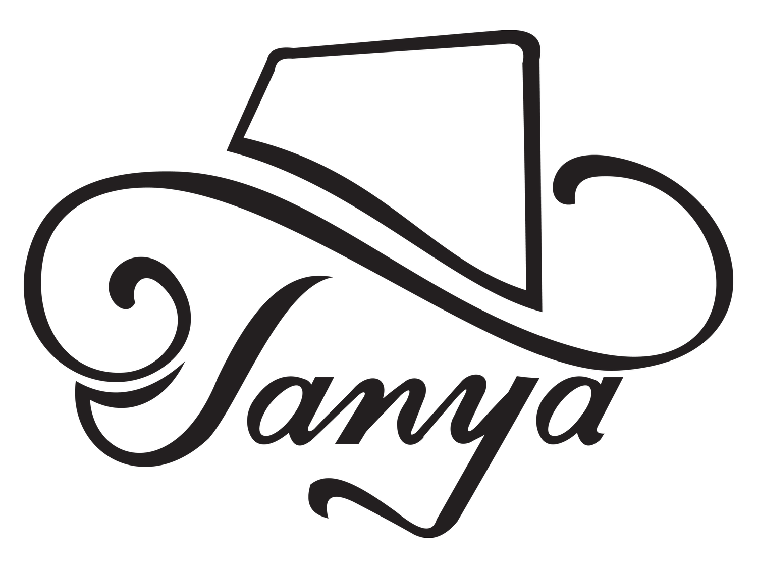 Tanya Tucker joins long list of stars with bars on Broadway - Regal Transportation Group